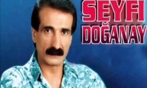 Seyfi Doğanay - Sevdim