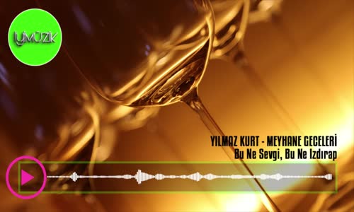 Yılmaz Kurt - Meyhane Geceleri (Full Albüm Dinle)