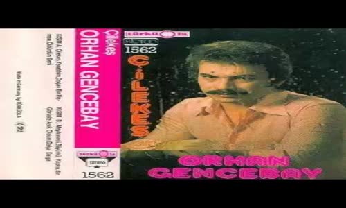 Orhan Gencebay - Sensin Benim Çilegahim