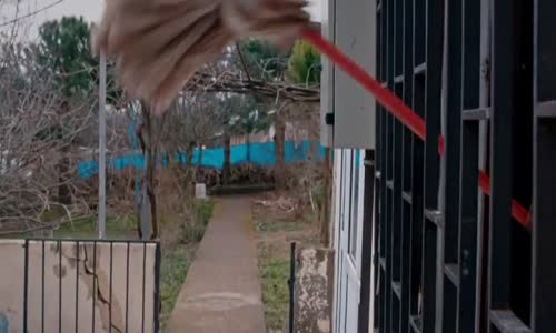 Medcezir 57.Bölüm  Son Sahne - Yaman  Nadir Hesaplaşması Nasıl Sonlanacak