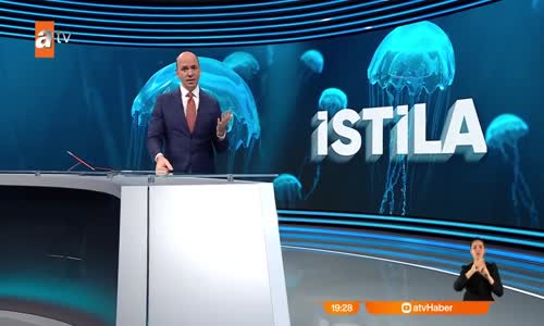 Boğazda denizanası istilası 