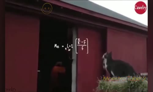 Birbirinden Komik Ve Eğlenceli Videolar