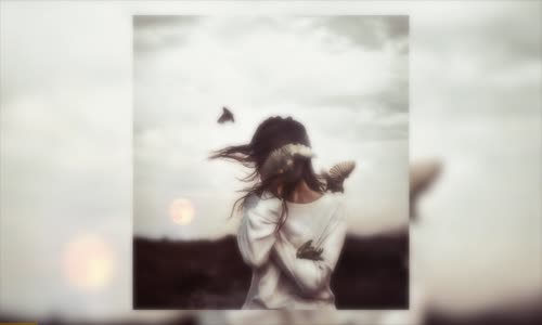 Aslı Zengin - Kuşlara Uyma