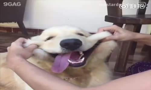 Yüzlerini Gerçekten Hissediyorum Arkadaş Yaa