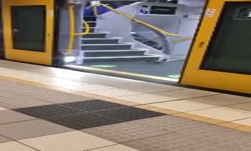 Uçmak Yerine Metroyu Tercih Eden Güvercin 