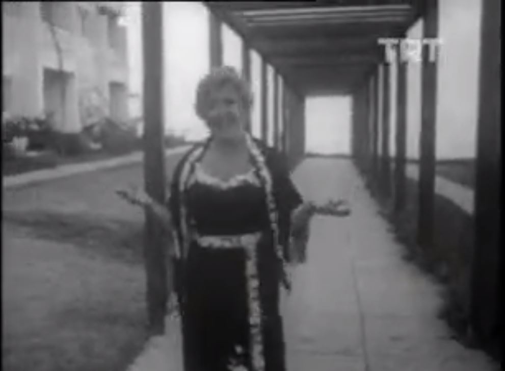 Nesrin Sipahi Şahane Gözler Şahane