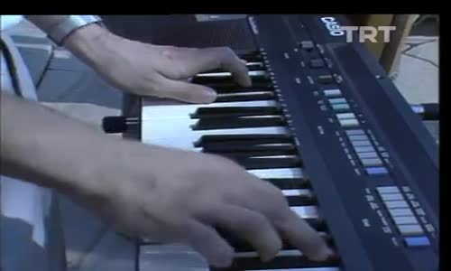 Neşe Karaböcek-Maşallah 