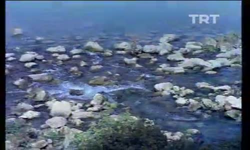 Atatürk Barajı ve Hidroelektrik Santrali Yapımı izle