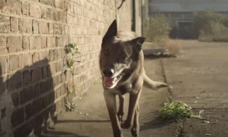 SKRILLEX - Bangarang feat. Sirah 