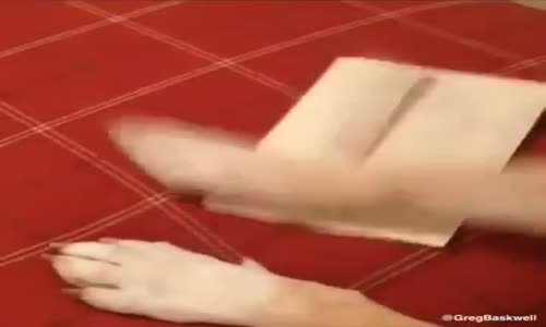 Köpek Noel Babaya Mektup Yazdı