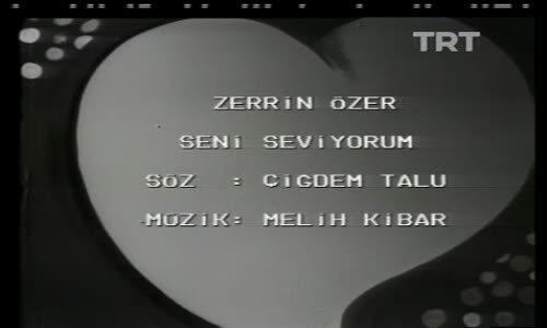 Zerrin Özer-Seni Seviyorum 