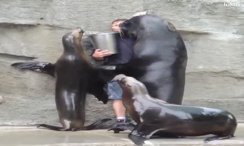 Allahım Kimseyi Aç Bırakma