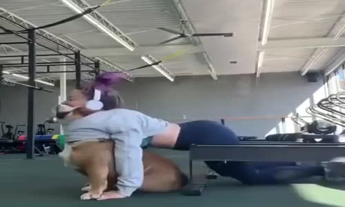 Köpekler inanılmaz 