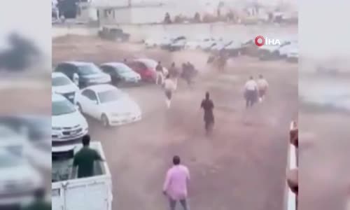 Meksika’da arenadan kaçan boğa 4 kişiyi yaraladı