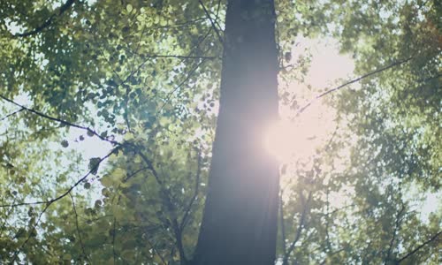 Ziynet Sali - Kalbim Tatilde 