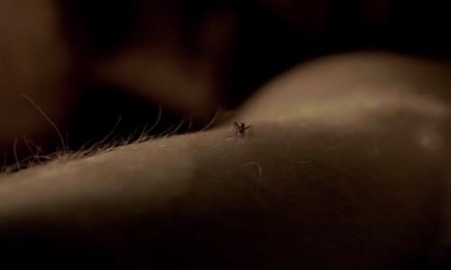 Dexter 2x05