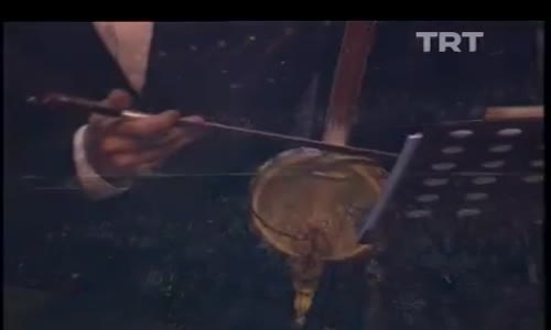 Nursaç Öner Günhan-Gemiler Giresun'a