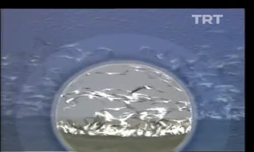 Türkü Türkü Türkiyem 40.Bölüm