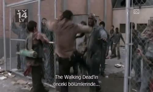 The Walking Dead 3. Sezon 2. Bölüm İzle