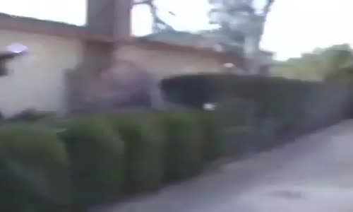 1998 yılında bir garajda kurulan Google'ın ilk dönemleri 