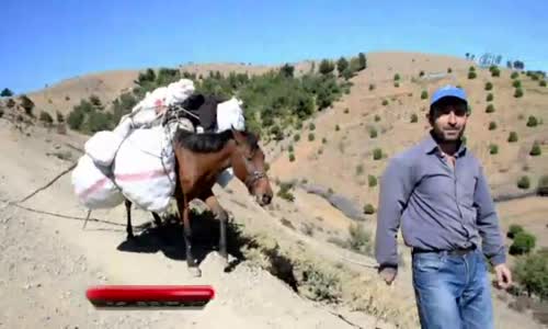 Kestane Kebap, Toplaması Azap