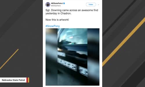 Kardan Mustang Yapmak