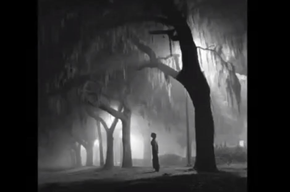 Yeşim Salkım  Baktıkça Resmine 