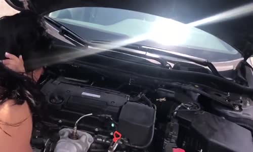 Araba Motorundan Kurtarılan Kedi Yavrusu