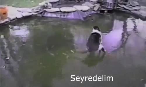 Haydi Güne Gülerekle Başlayalım - 9