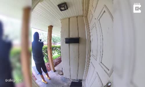 Köpeğine Bahçenin Boş Olduğunu Gösteren Genç