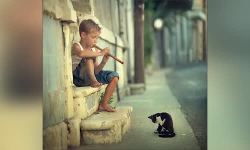 Birbirinden Komik Ve Eğlenceli Videolar part-2