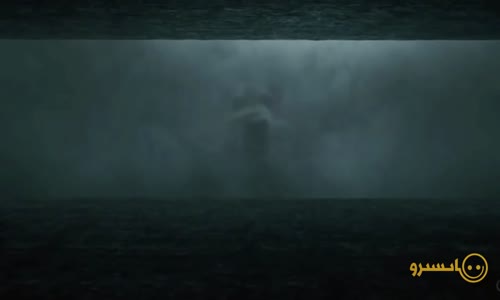 Hayvanların Güldüren Videoları