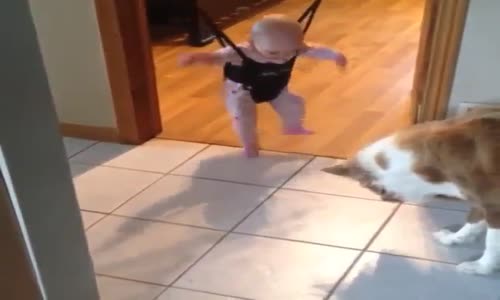 Bebek Gibi Hoplayan Köpişin Vs Bebiş Kapışması