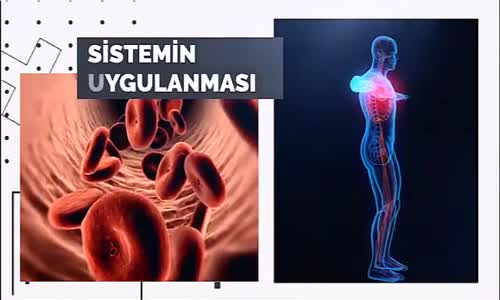 Yolsuzluk, dolandırıcılık  ve hortumculuğun artışında yargı sisteminin rolü