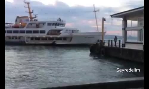 Kabataş'ta  Apartmanın Çatısından Boğaz'ı Selamlayan Bi Fener