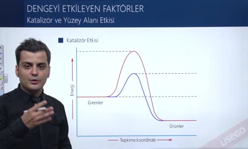 EBA KİMYA LİSE -  KİMYASAL DENGE - DENGEYİ ETKİLEYEN FAKTÖRLER - KATALİZÖR VE YÜZEY ALANI ETKİSİ