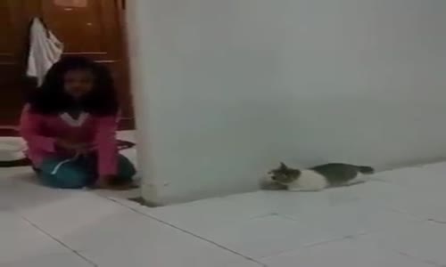 Kedinin Aklını Alan Çocuk