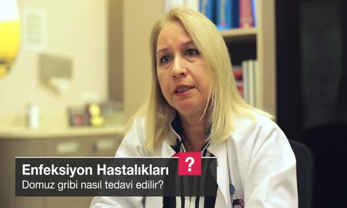 Domuz Gribi Nasıl Tedavi Edilir