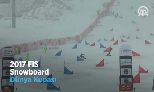 2017 FIS Snowboard Dünya Kupası