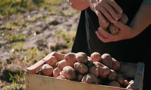 14 Mayıs Dünya Çiftçiler Günü kutlu olsun