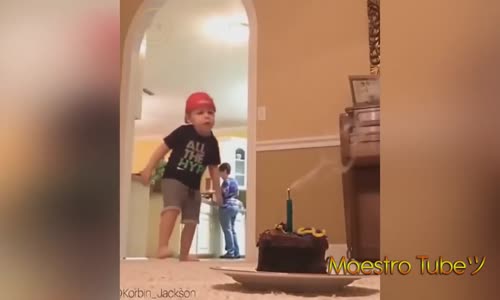 Hayvanların Ve İnsanların Komik Video Klipleri