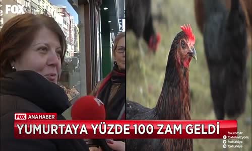 Yumurtaya Yüzde 100 Zam Gelmesi
