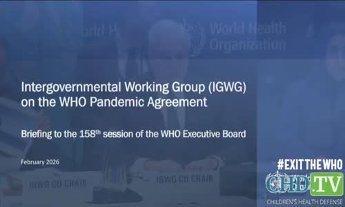 WHO WATCH 158th Session of the Executive Board