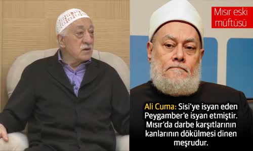 Fetö, Mısır'ın Eski  Darbeci Müftüsünü Yere Göğe Sığdıramadı