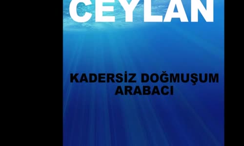 Ceylan - Arabacı
