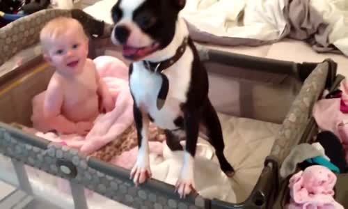 Bebeğin Yatağından Çıkmayan Köpek