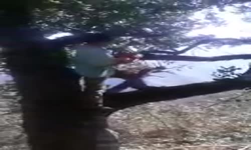 Kestiği Dal ile Birlikte Yere Düşen Adam 