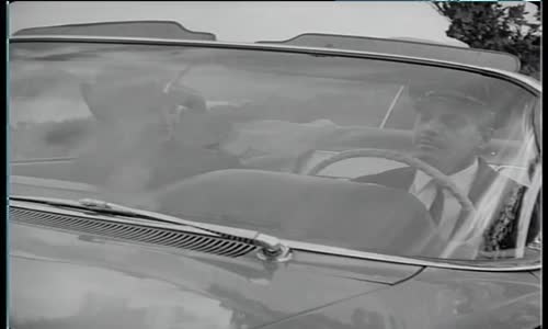 Zeki, Sevimli, Konuşkan Ve Şımarık