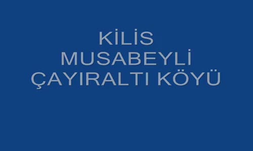 Dilber Ay   Maralım