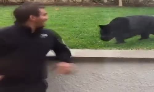 İŞTE GERÇEK DOSTLUKLAR